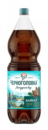 Напиток ЧЕРНОГОЛОВКА Байкал с/газ 2л п/б