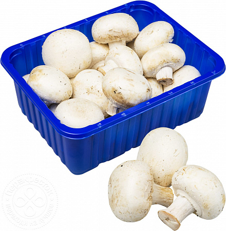 Грибы Шампиньоны свежие 400г