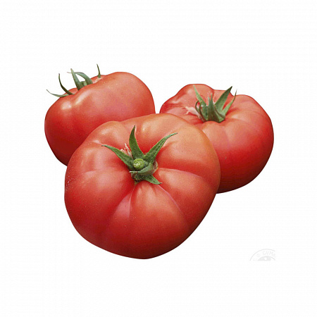 Помидоры свежие Китай