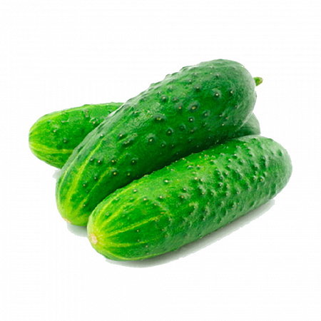 Огурцы свежие Маша